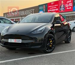 تێسلا مۆدێلی Y